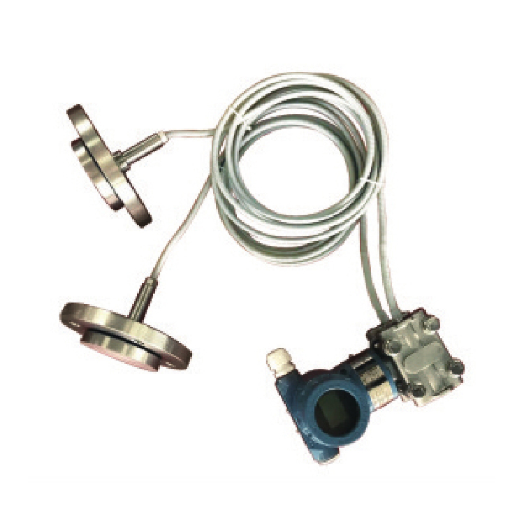 Double flange pressure transmitter